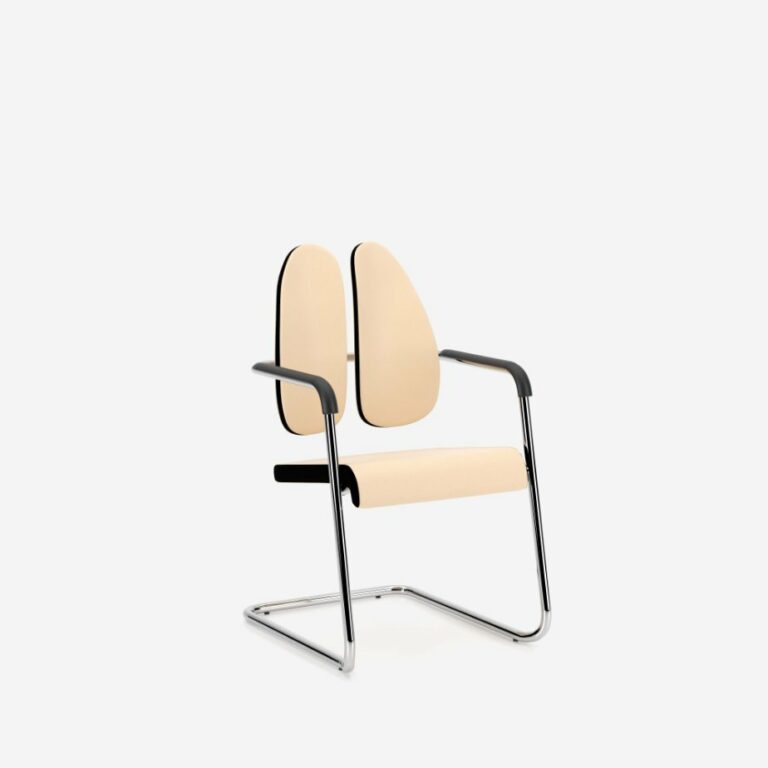 xenium-frame-chair-cfa-duo-back-sd06000-28577-1