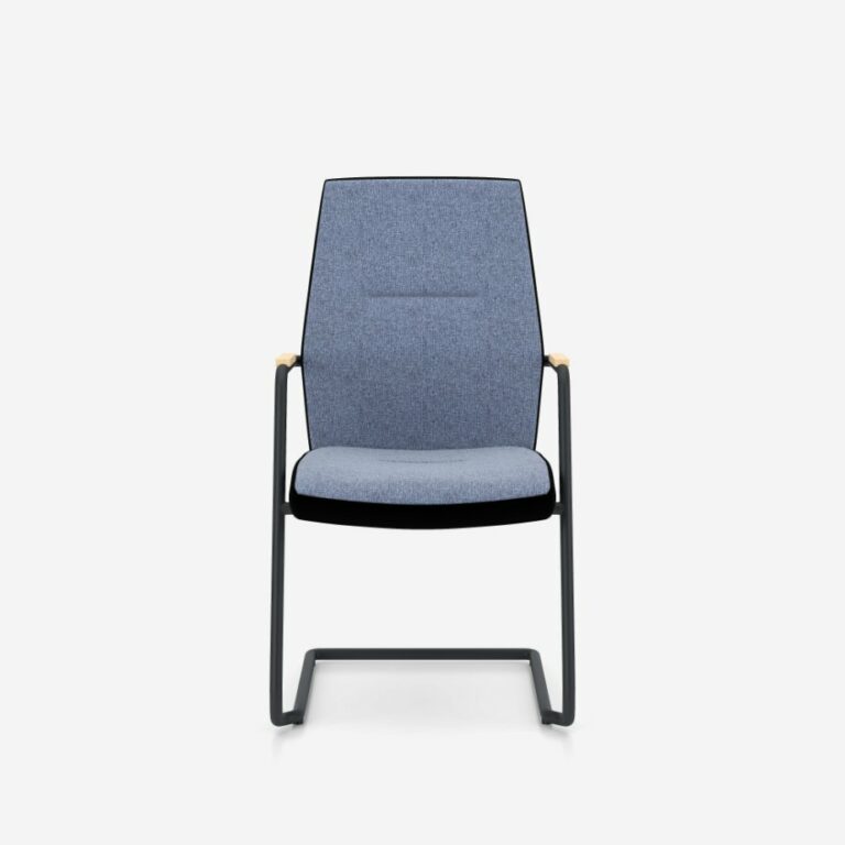 so-one-frame-chair-cfa-uph-e-bl-1007-ba-sd-egl16-rn60999-se-sd-egl16-rn60999-gbmf000-30195-0