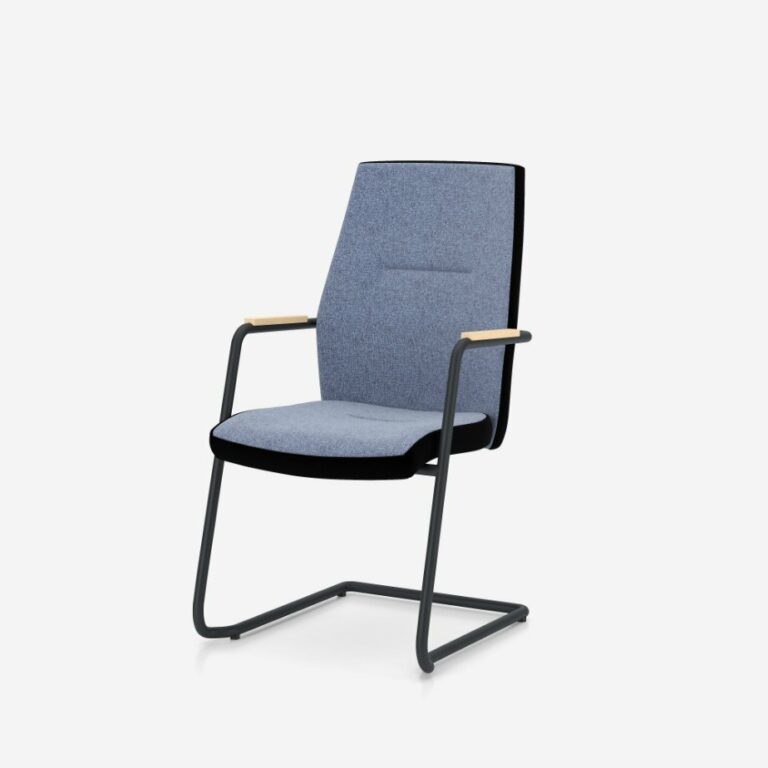 so-one-frame-chair-cfa-uph-e-bl-1007-ba-sd-egl16-rn60999-se-sd-egl16-rn60999-gbmf000-30198-7