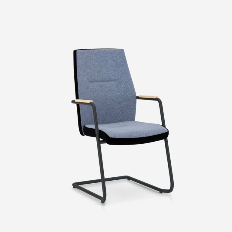 so-one-frame-chair-cfa-uph-e-bl-1007-ba-sd-egl16-rn60999-se-sd-egl16-rn60999-gbmf000-30201-1