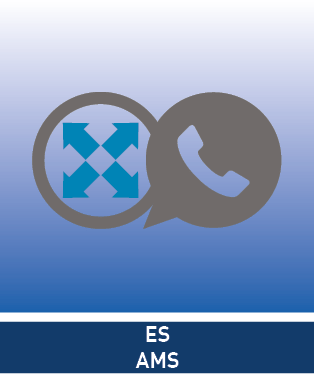 Agfeo ES-AMS - online