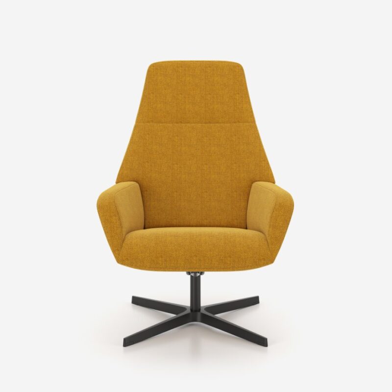 barrique-armchair-fc62517-bc-bl-gd-pack-asm000-50786-0